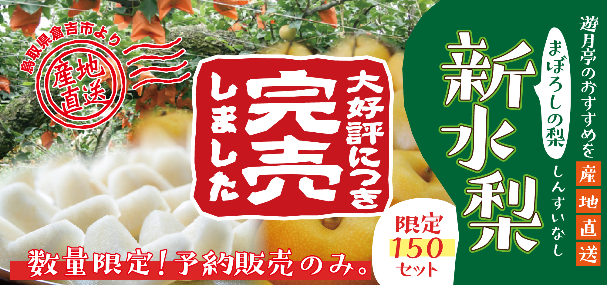 新水梨 毎年約１０日で完売する人気商品 糖度たっぷり８月に食べられる梨